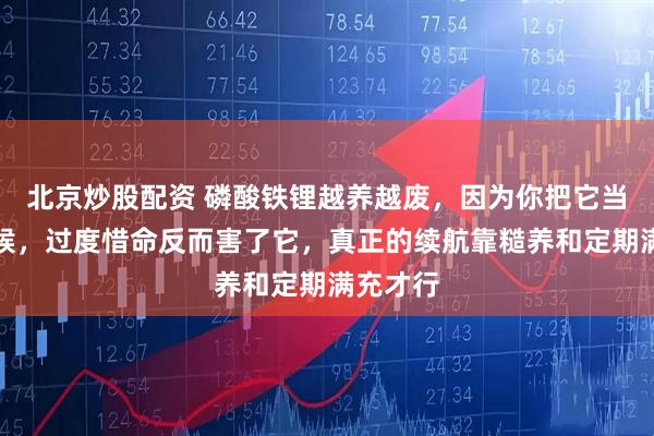 北京炒股配资 磷酸铁锂越养越废，因为你把它当少爷伺候，过度惜命反而害了它，真正的续航靠糙养和定期满充才行